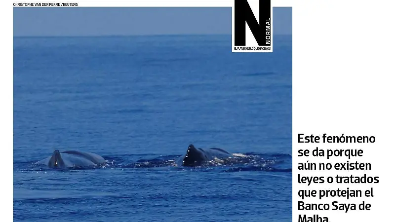 removiendo aguas SITIO5